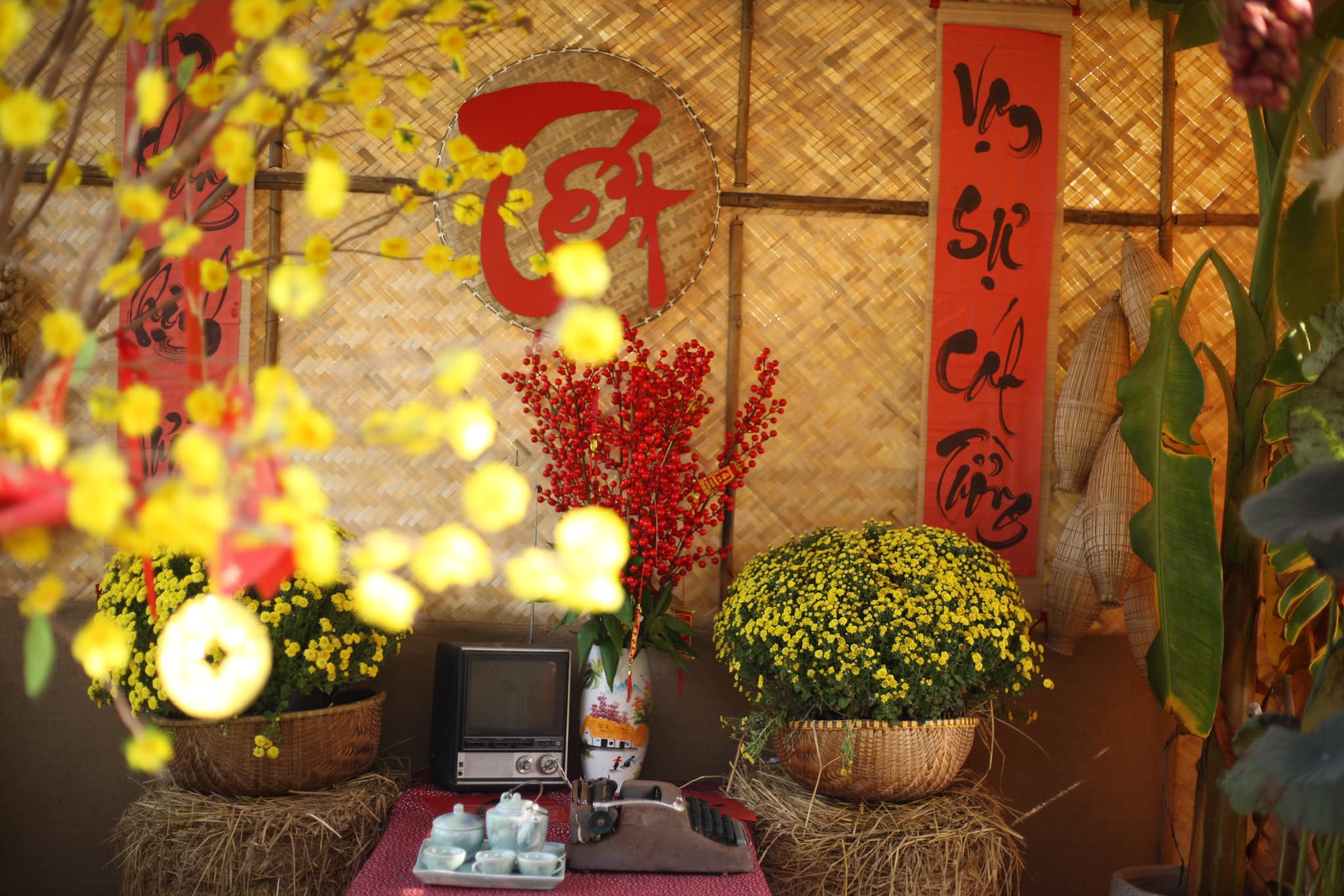 TẾT PACKAGE – GÓI NGHỈ DƯỠNG CHO KỲ NGHỈ TẾT BÊN BỜ BIỂN LONG HẢI