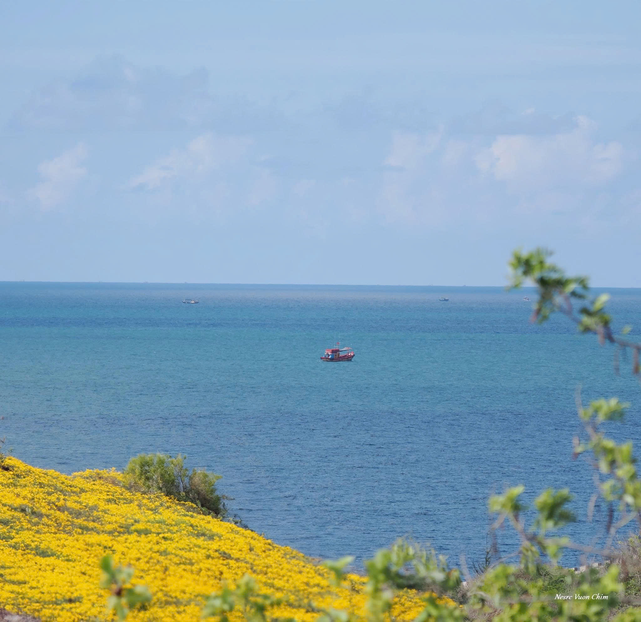 WEEKDAY DELIGHT PACKAGE – KỲ NGHỈ TRONG TUẦN BÊN BỜ BIỂN LONG HẢI